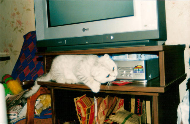 Тима осваивает теле-и видеооборудование. 1 октября 2001 г.