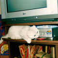Тима осваивает теле-и видеооборудование. 1 октября 2001 г.