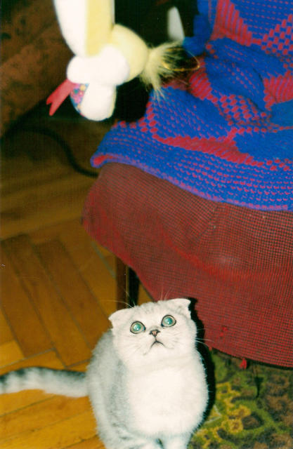 Огромные зеленые глаза Тимы следят за страшным змеем. 2 октября 2001 г.