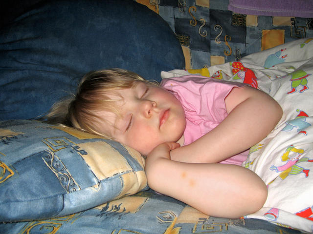 Шурино редкое счастье: неугомонная Тася уснула сном праведника. 31 декабря 2005 г.