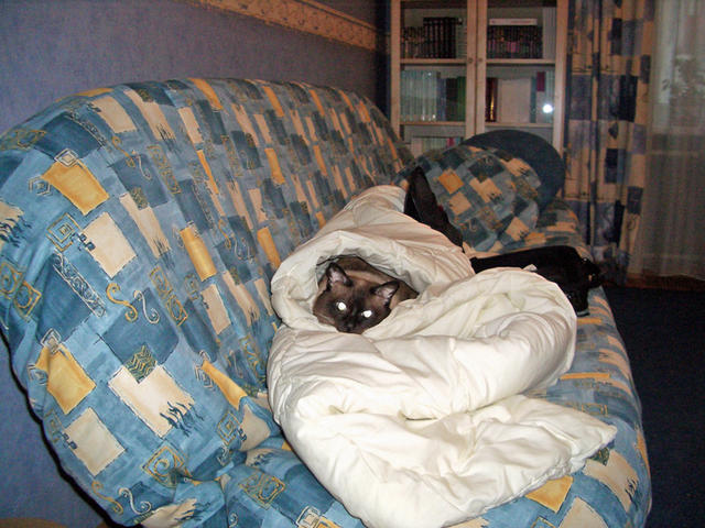 В таком коконе никакие холода не страшны. Филя на Кожуховском, 17 января 2006 г.