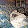 В таком коконе никакие холода не страшны. Филя на Кожуховском, 17 января 2006 г.